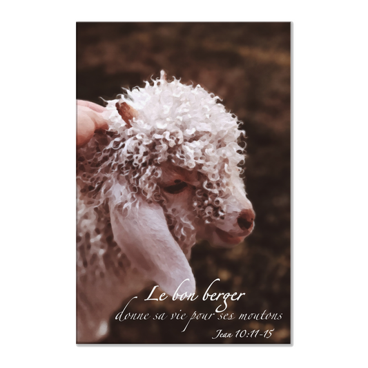Le bon berger